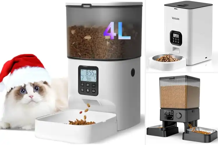 Detailed view of Best Automatic Cat Feeders: Simplify Pet Feeding