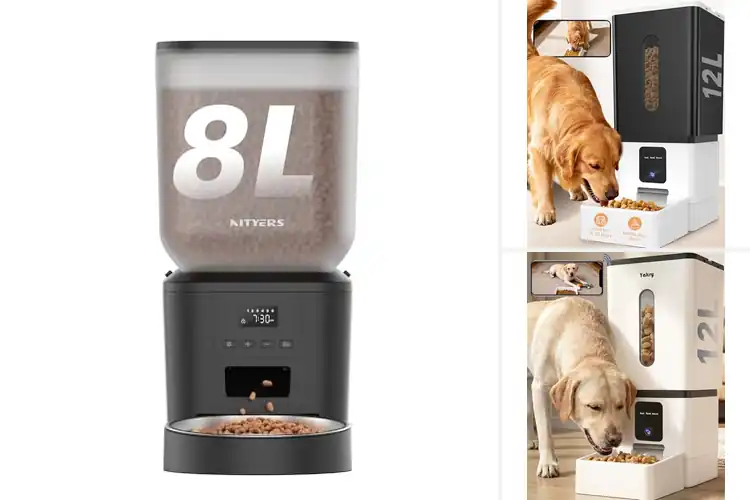 Detailed view of Best Automatic Dog Feeders