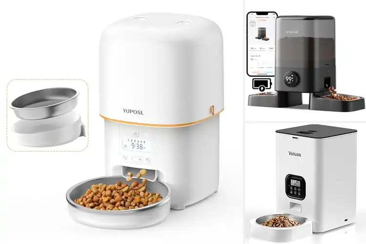 Detailed view of Best Battery Powered Cat Feeders