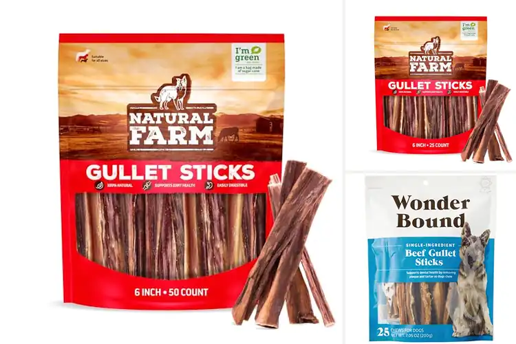 Detailed view of Best Beef Gullet Sticks For Dogs: Top 10 Healthy Treats