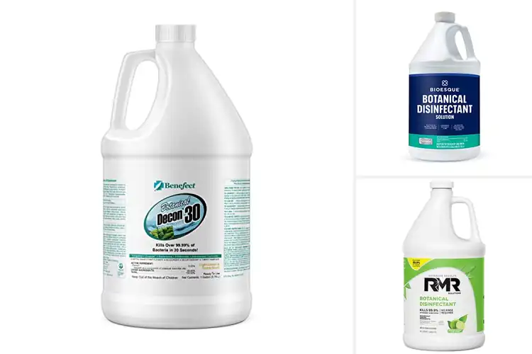Detailed view of Best Botanical Disinfectants