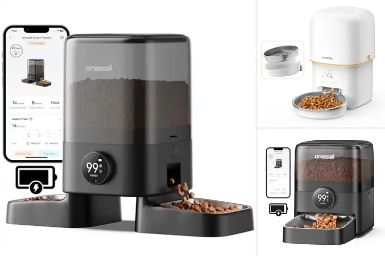 Detailed view of Best Cordless Cat Feeders