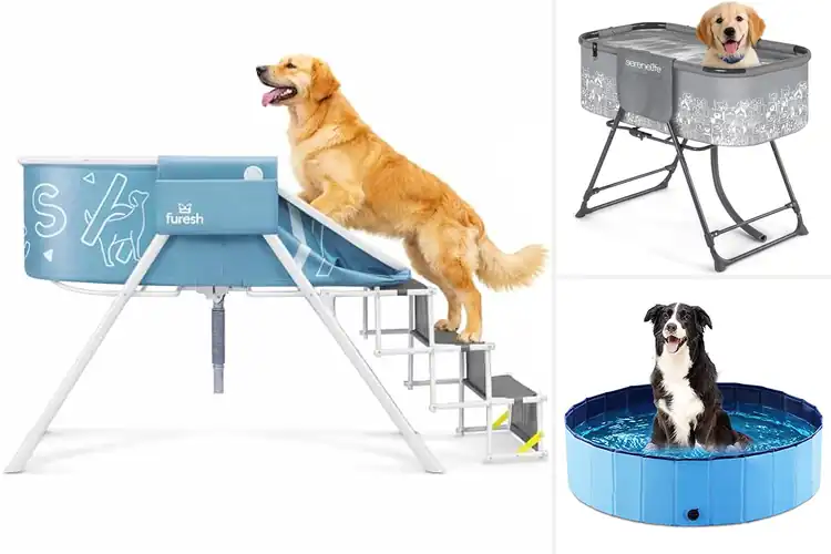 Detailed view of Best Dog Bath Tubs for Stress‑Free Bath Time
