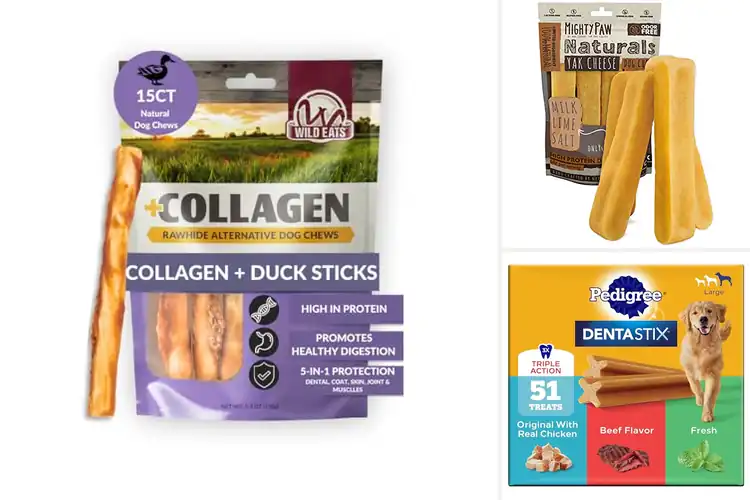 Detailed view of Best Dog Chews: Top Picks for Happy, Healthy Pups