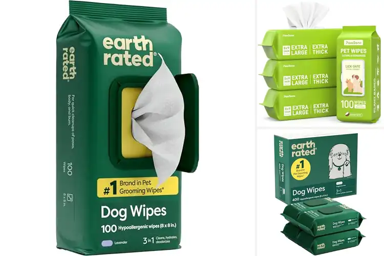 Detailed view of Best Dog Hygiene Wipes