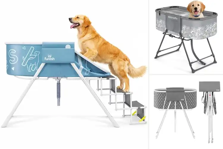 Detailed view of Best Elevated Dog Baths