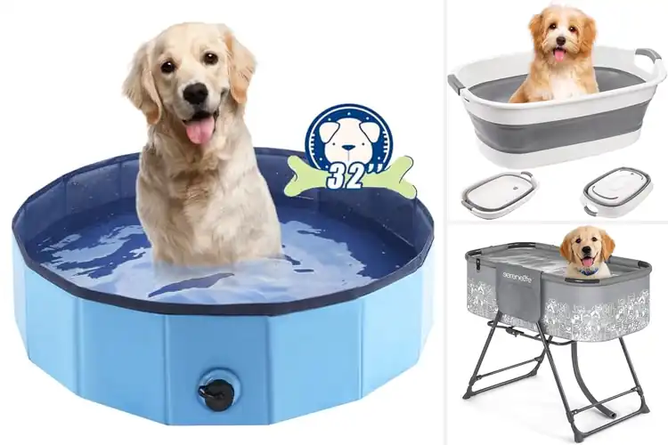 Detailed view of Best Foldable Dog Tubs: Space-Saving Bath Time Solutions