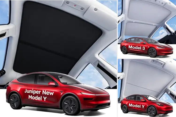 Detailed view of Best Glass Roof Sunshades: Keep Your Car Cool & Protected