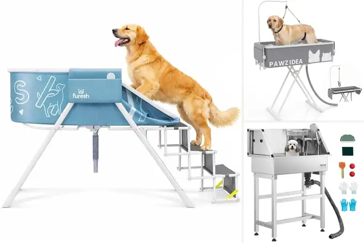 Detailed view of Best Indoor Dog Washing Stations for Calm, Easy Bath Time