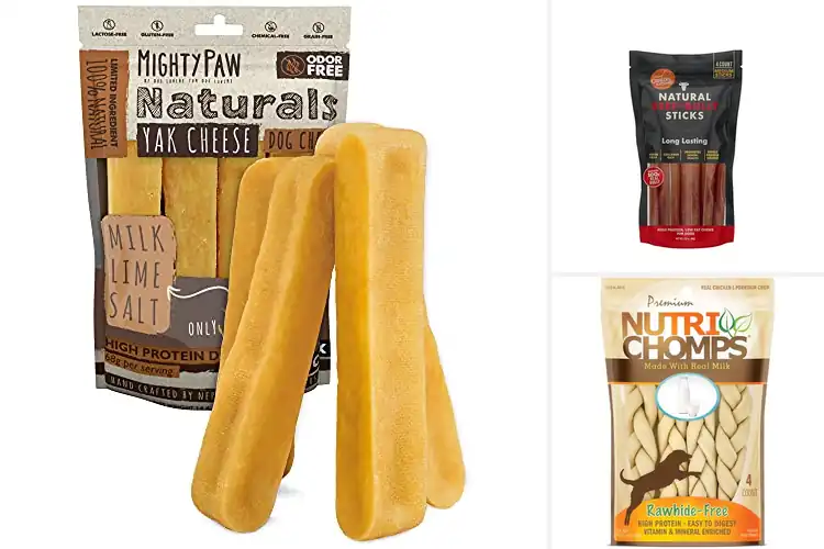 Detailed view of Best Long Lasting Dog Chews for Happy, Healthy Pups