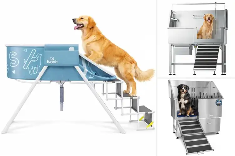 Detailed view of Best Medium Dog Washing Stations