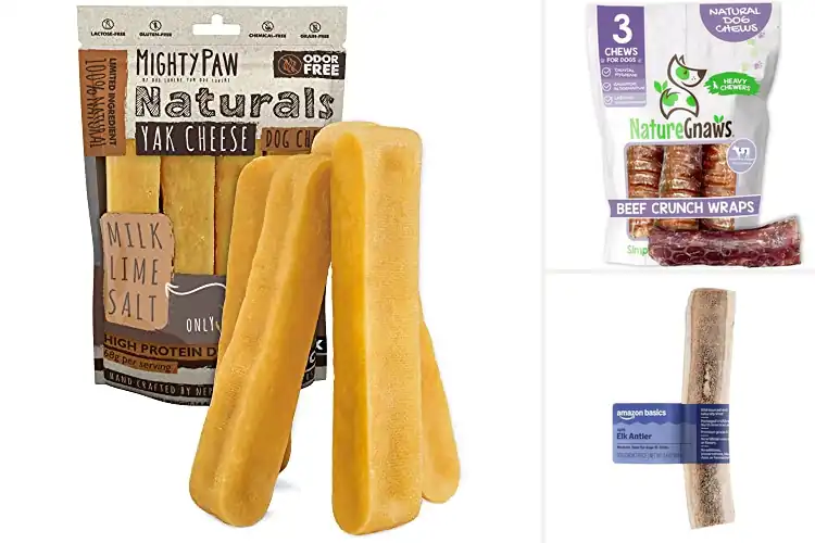 Detailed view of Best Natural Dog Chews: Safe, Pure, and Loved by Dogs