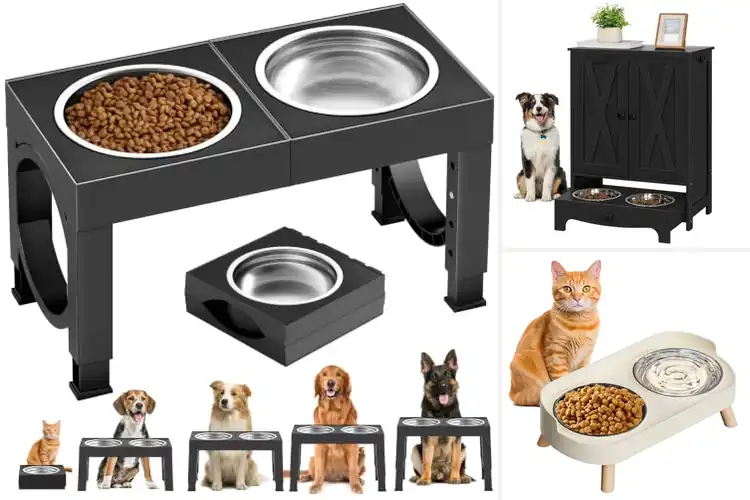 Detailed view of Best Pet Feeding Stations For Easy, Tidy, Happy Mealtimes