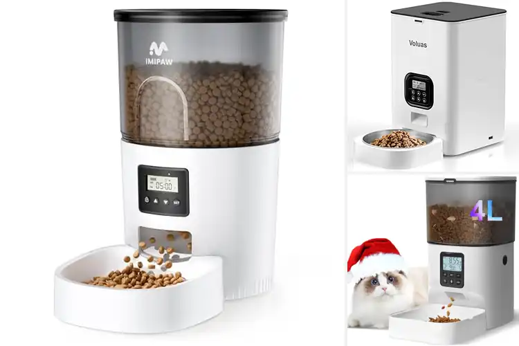 Detailed view of Best Programmable Pet Feeders