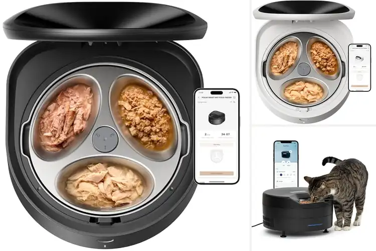 Detailed view of Best Refrigerated Pet Feeders: Fresh Food, Happy Pets