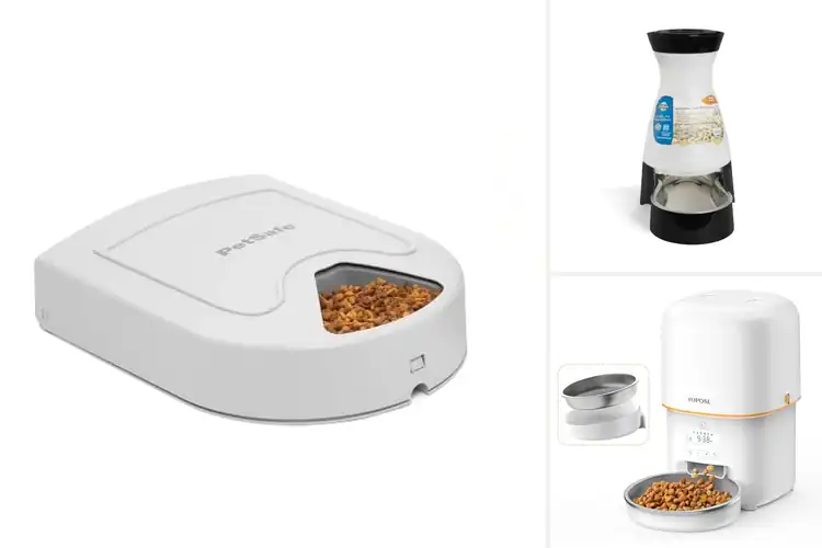 Detailed view of Best Safe Pet Feeders: Keep Your Pet Happy & Healthy
