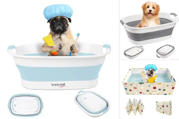Detailed view of Best Small Dog Bath Tubs for Easy, Stress-Free Pet Cleaning