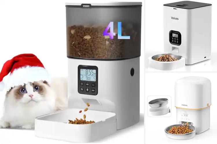 Detailed view of Best Timed Pet Feeders: Keep Your Pet Happy & Healthy