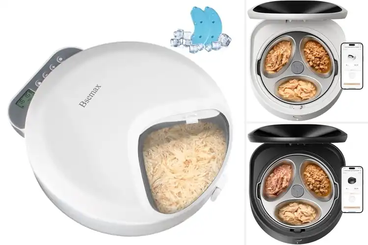 Detailed view of Best Wet Food Cat Feeders: Top Picks for Happy, Healthy Cats